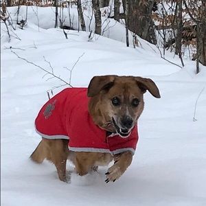 Meet your Posher, Anne